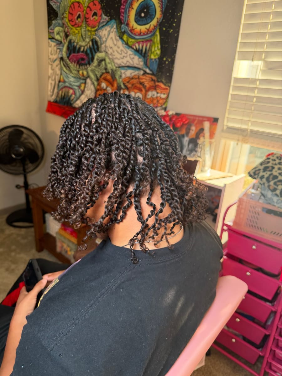 Chunky two-strand twists, shoulder length, back view