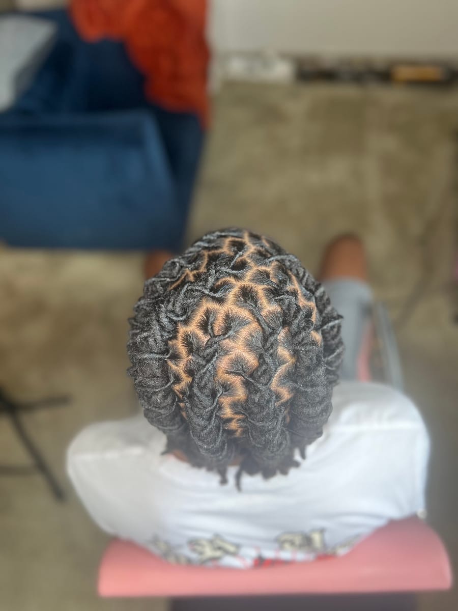 Chunky loc retwist with a neat grid pattern, back view