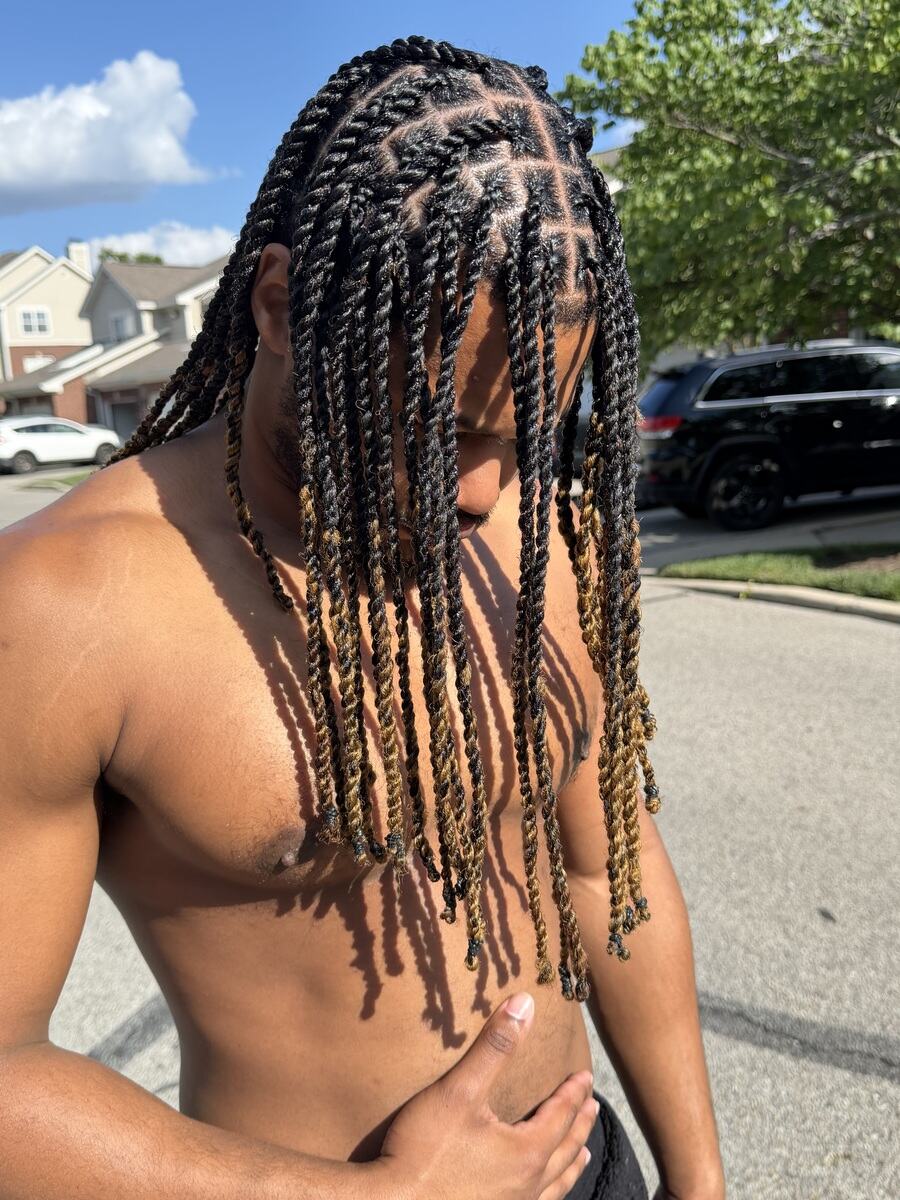 Rope twists with honey-blonde ombre ends and clean box parts, side view
